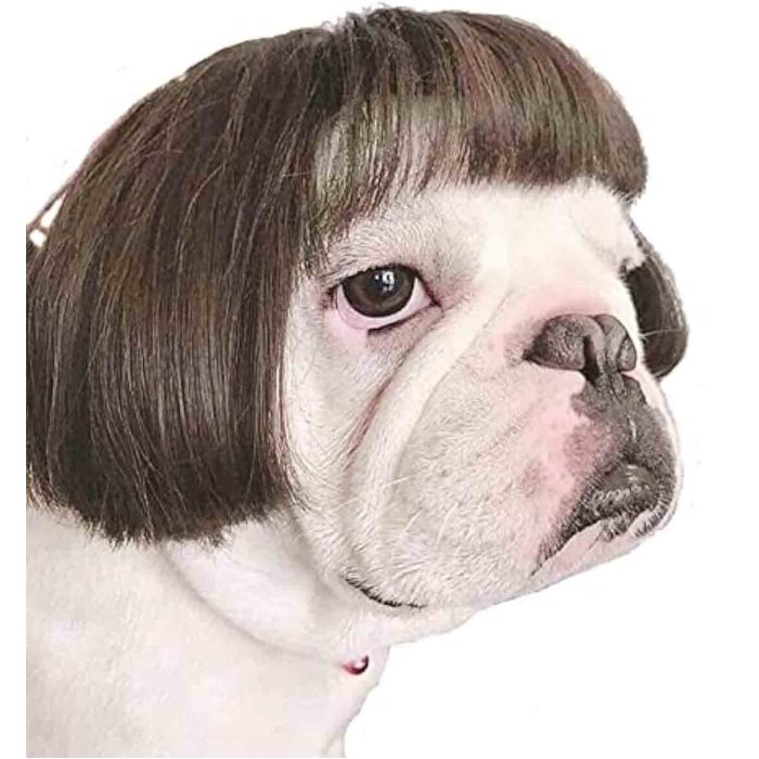 Pet Wigs for Halloween, Christmas, Parties, Festivals