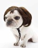 Pet Wigs for Halloween, Christmas, Parties, Festivals