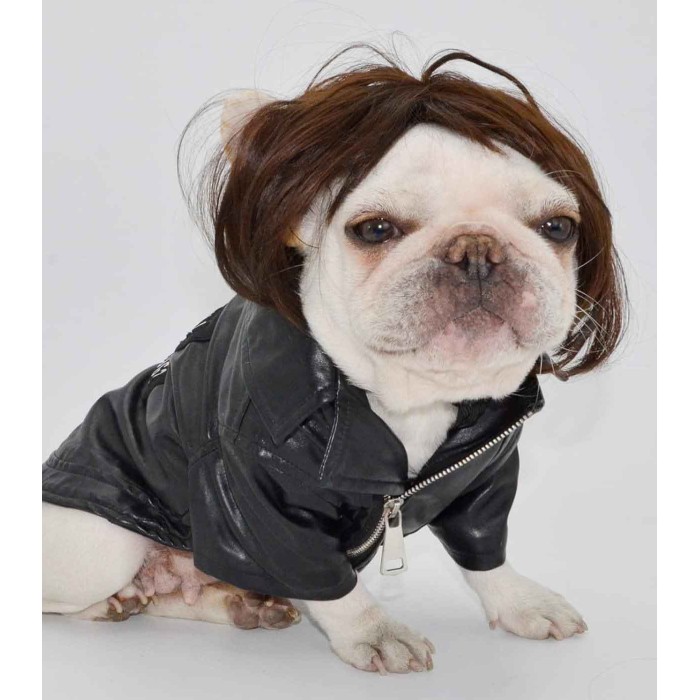 Pet Wigs for Halloween, Christmas, Parties, Festivals