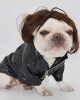 Pet Wigs for Halloween, Christmas, Parties, Festivals