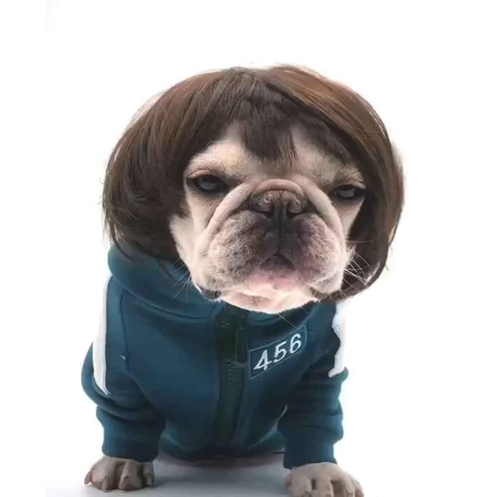 Pet Wigs for Halloween, Christmas, Parties, Festivals