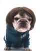 Pet Wigs for Halloween, Christmas, Parties, Festivals