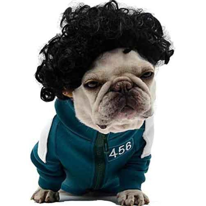 Funny Black Curly Dog Wig, Cat Cosplay Wig