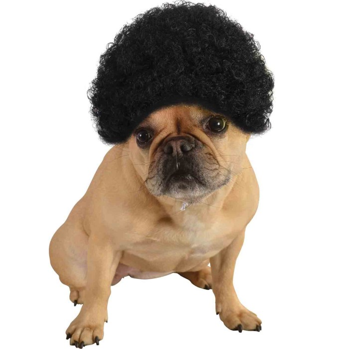 Pet Costume Afro Curly Wig