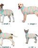 Recovery Suit for Dogs Cats After Surgery