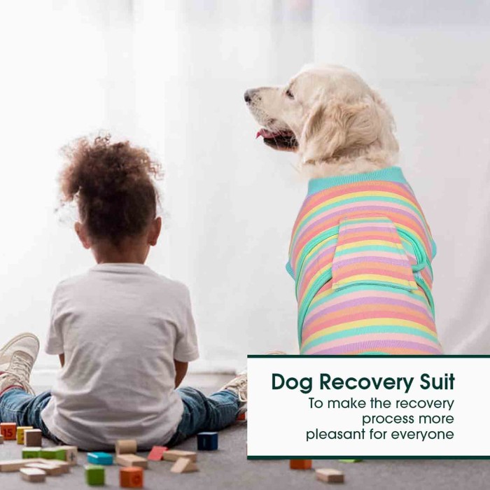 Recovery Suit for Dogs Cats After Surgery