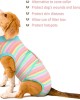 Recovery Suit for Dogs Cats After Surgery