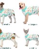 Recovery Suit for Dogs Cats After Surgery