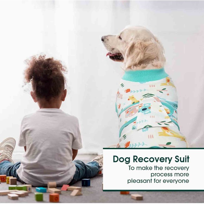 Recovery Suit for Dogs Cats After Surgery