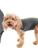 Soft Cotton After Surgery Dog Recovery Suit Female and Male