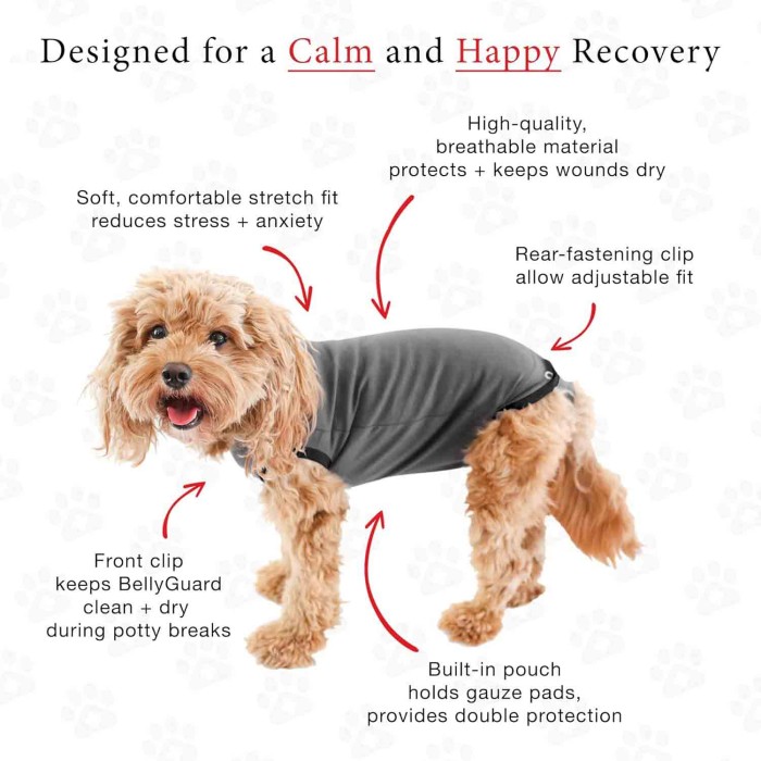 Soft Cotton After Surgery Dog Recovery Suit Female and Male