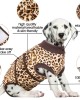 Anti-Licking Pet Surgical Recovery Snugly Suit