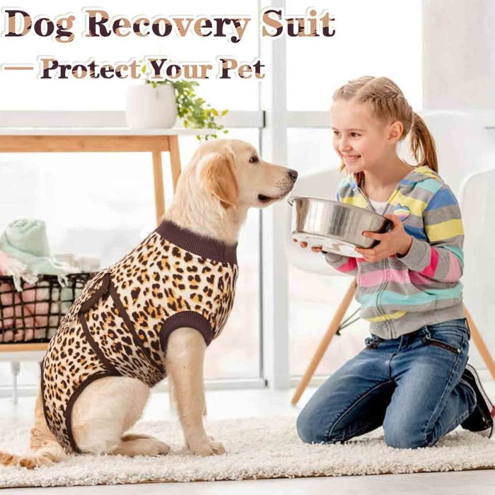 Anti-Licking Pet Surgical Recovery Snugly Suit